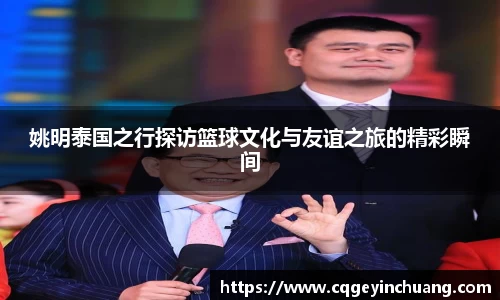 必一bsports体育